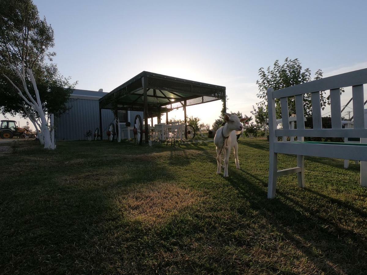 Bagban Bozcaada Acomodação com café da manhã Exterior foto